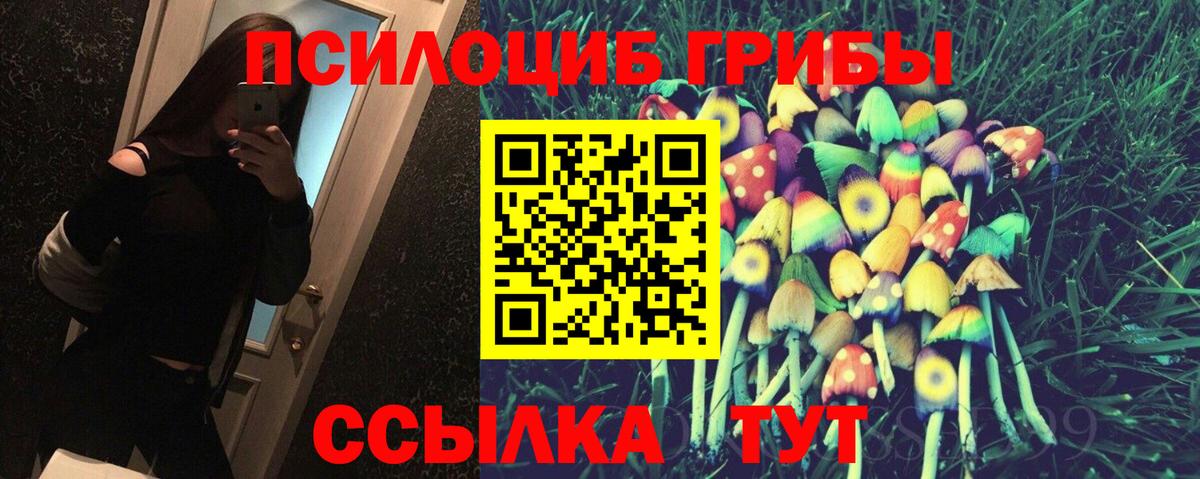 Галлюциногенные грибы Cubensis Еманжелинск